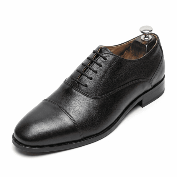 Calzoro Imperial Cap-Toe Oxford